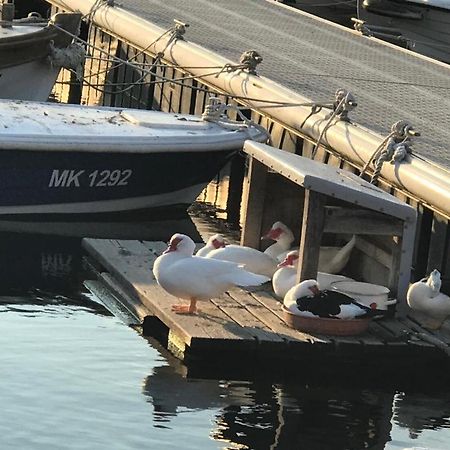 Apartment Aquamarin, Blizu Mora S Pogledom Na More, Za Do 6 Osoba Malinska Bagian luar foto