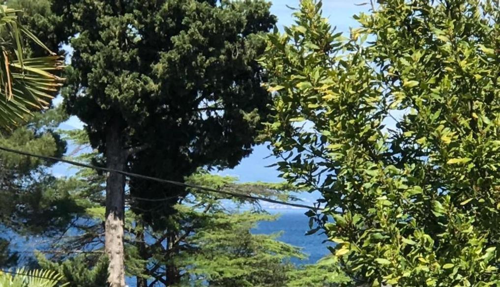 Apartment Aquamarin, Blizu Mora S Pogledom Na More, Za Do 6 Osoba Malinska Bagian luar foto