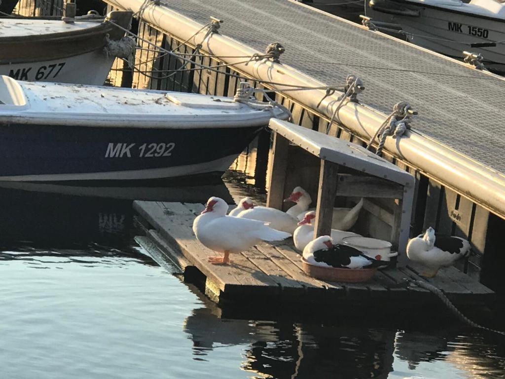 Apartment Aquamarin, Blizu Mora S Pogledom Na More, Za Do 6 Osoba Malinska Bagian luar foto